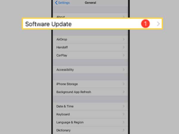 Tap on ‘Software Update’ option from the General settings section.