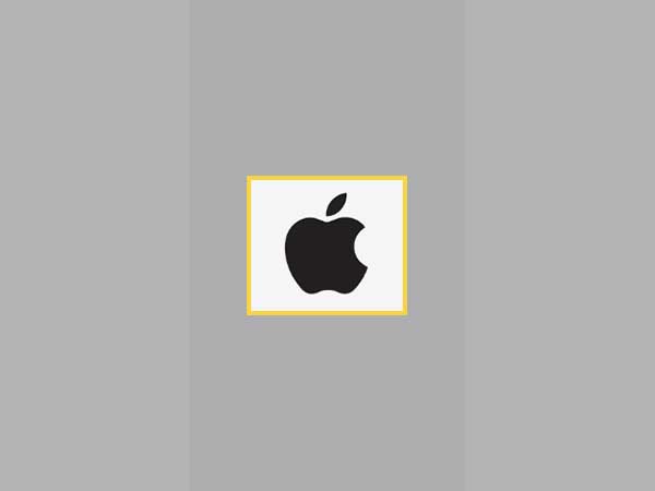Wait for Apple Logo to appear