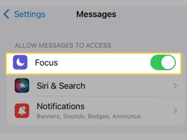If a Focus is on, tap on the icon to turn it “Off.”