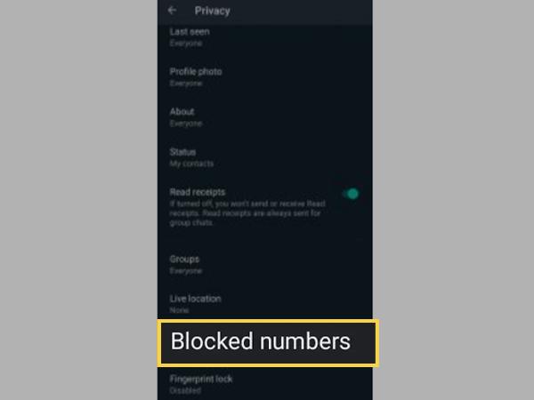 Inside the Privacy settings menu, tap on ‘Blocked Contacts.’