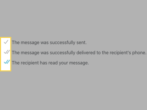 Send a message to the user and see whether one-tick (message sent) or two-tick (message delivered) and read-receipt appear on the screen.
