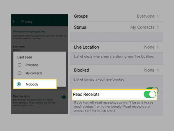 choose “Nobody” for ‘Last Seen’ and un-tick the ‘Read Receipts’ option.