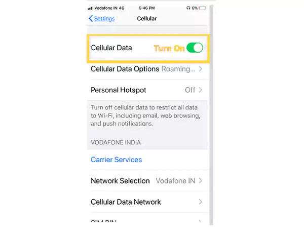 Turn on Cellular Data and click on Cellular Data Options