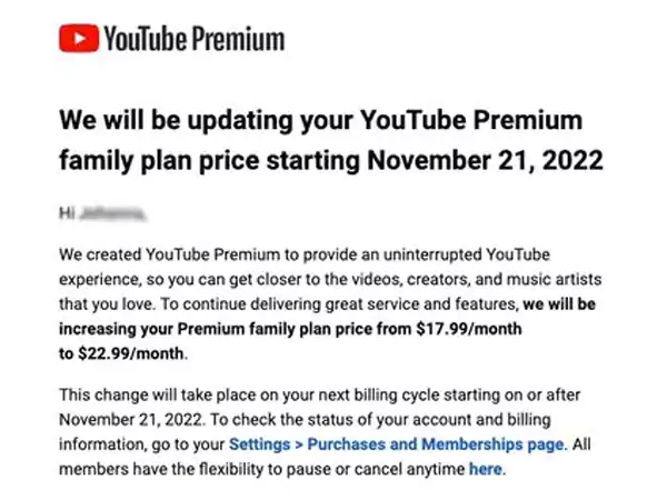 Screenshot of email received by premium user