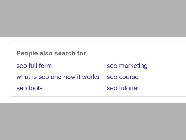Search ‘SEO’ and see related questions in the ‘People Also Search For’ section.